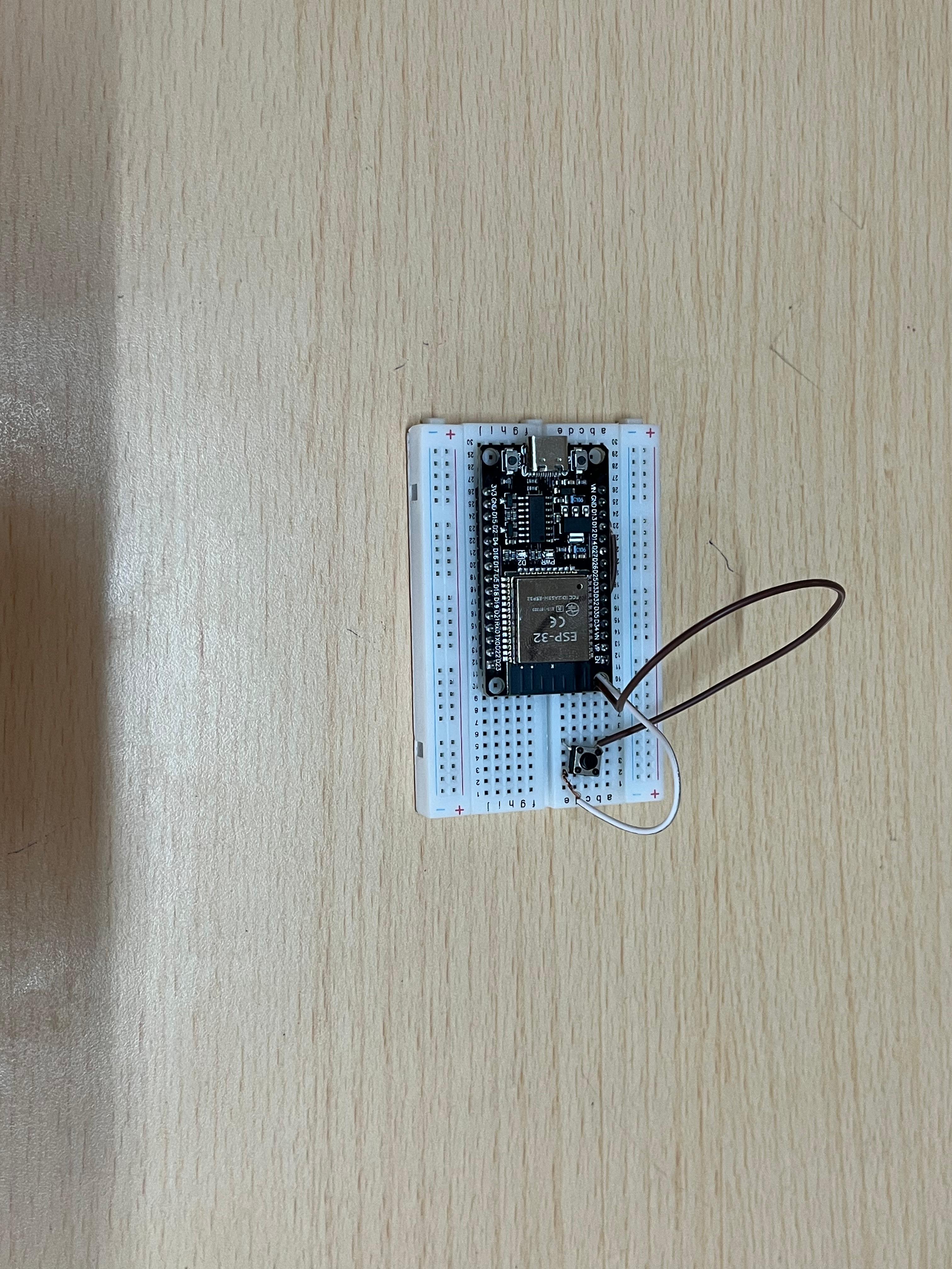 ESP32 Prototype